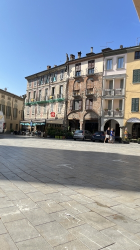 IMG 1250